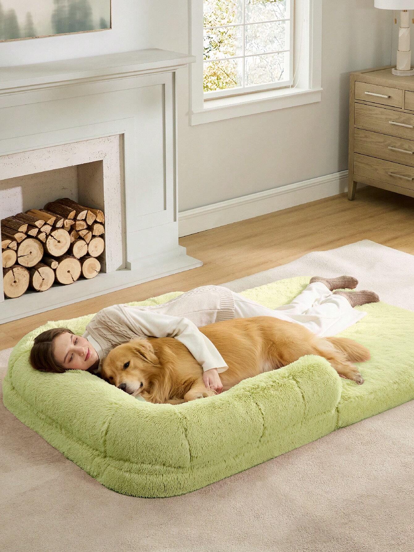 Cama Dobrável Estilo Cama de Cão para Humanos