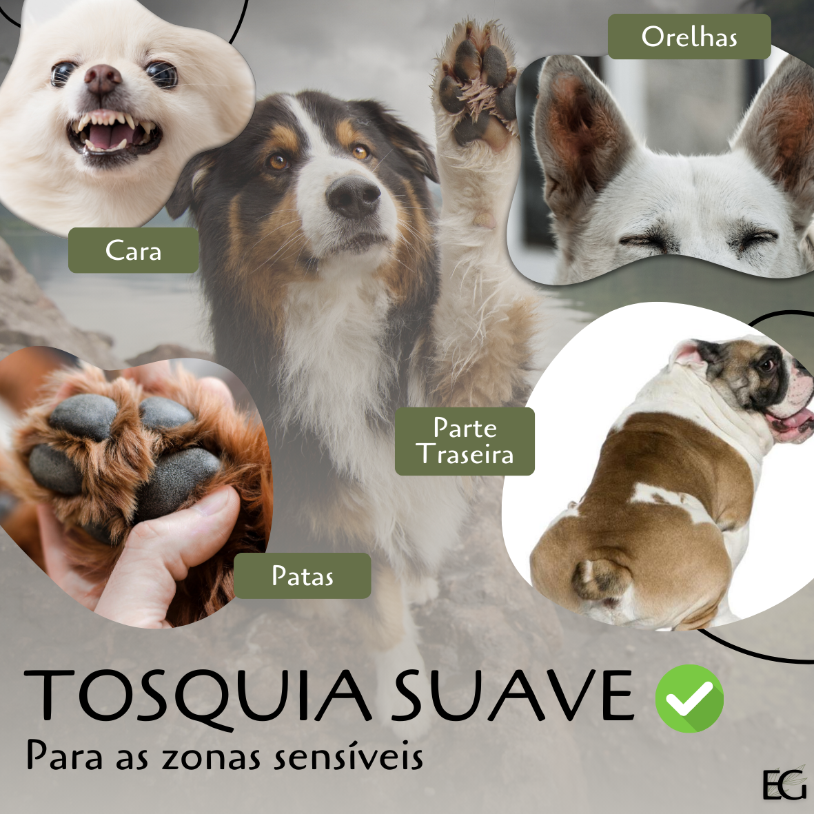 PATACARE: Máquina de Tosquiar para Patas de Cães e Gatos